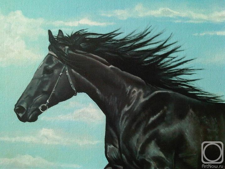 ������� ������ �� ������. ��� �������. �����