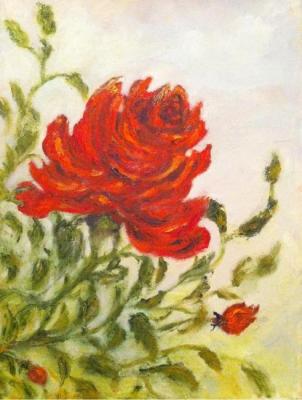 ������� ����� ...�