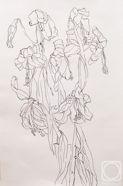 �������. ��������� ��������. �����