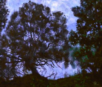 Old willow. Isaev Gennadiy