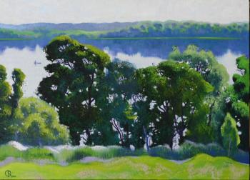 Trees on the shore. Isaev Gennadiy