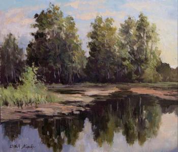 ������� ��������� ����