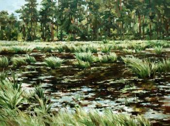 �������� �����. ������ �����