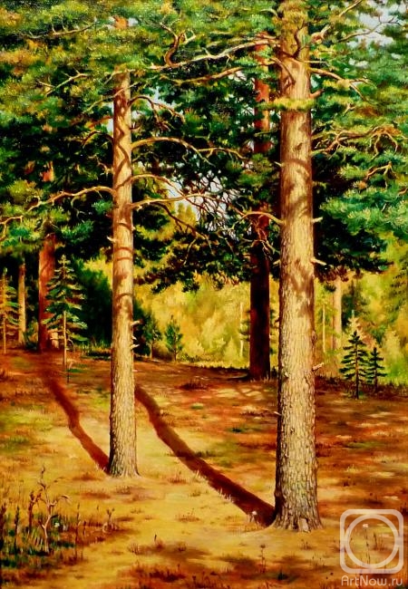 Litvinov Valeriy. Copy of Shishkin "Pines illuminated by the sun"