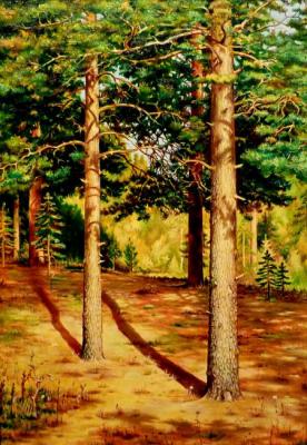 Copy of Shishkin "Pines illuminated by the sun"