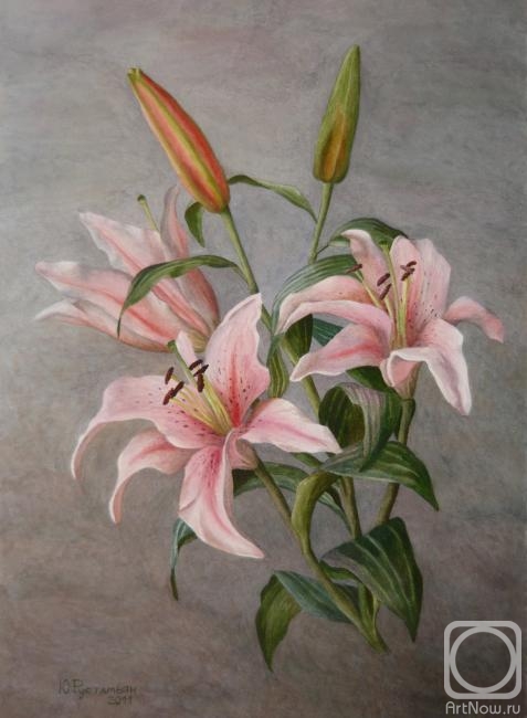 �������. ��������� ����. �����