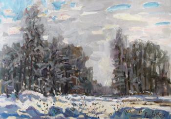 January near Moscow (Near Moscow Landscape). Zhukova Juliya