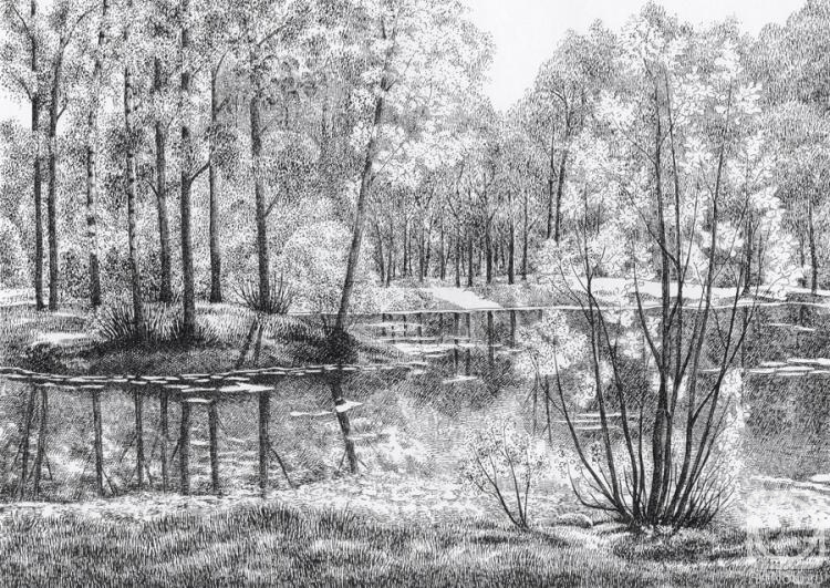 �������. �������� �����. �������