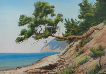 Pine by the sea. Chernyshev Andrei