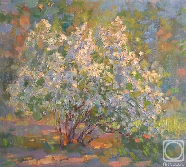 ������� ������ �� ������. �������� �����. � ������ (����)