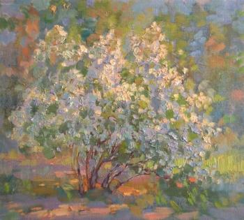 ������� �� ������ (����)�