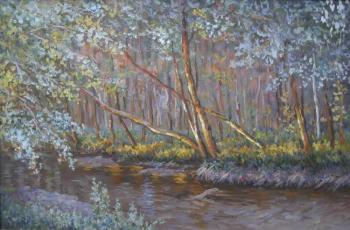 Covert. Bakaeva Yulia