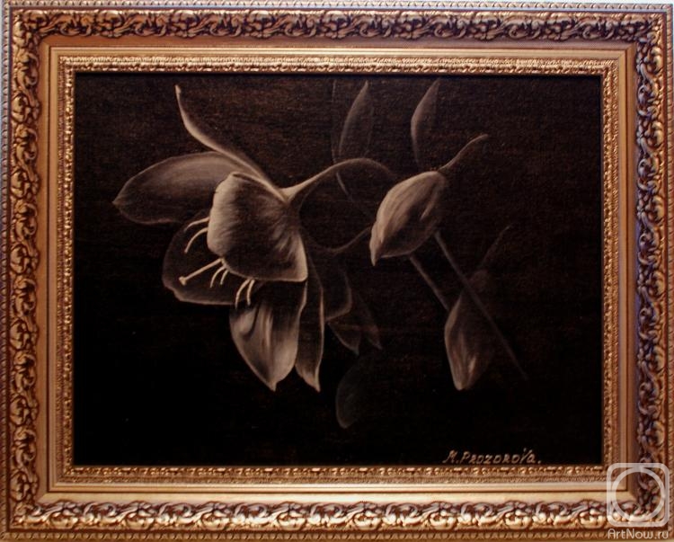 ������� ������ �� ������. ��������� ���������. ����� ��� �����