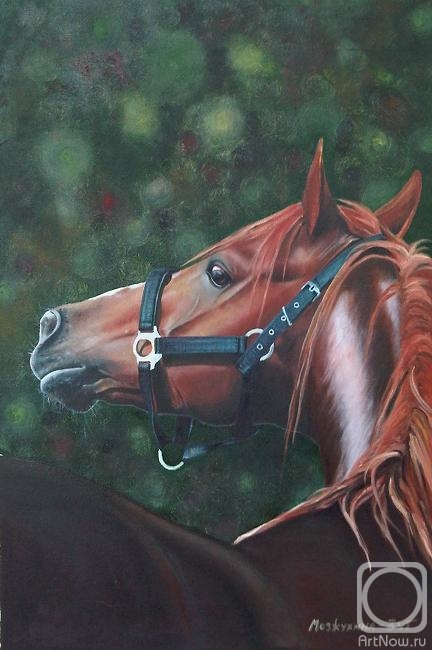 ������� ������ �� ������. ��� �������. ������� ������ ����� 2