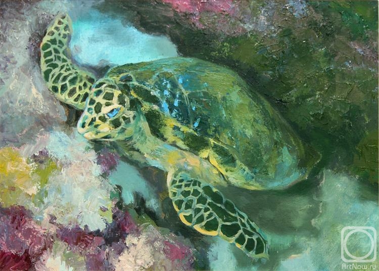 ������� ������ �� ������. ������� ���������. ��������