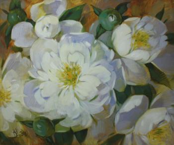 ������� ������ ������