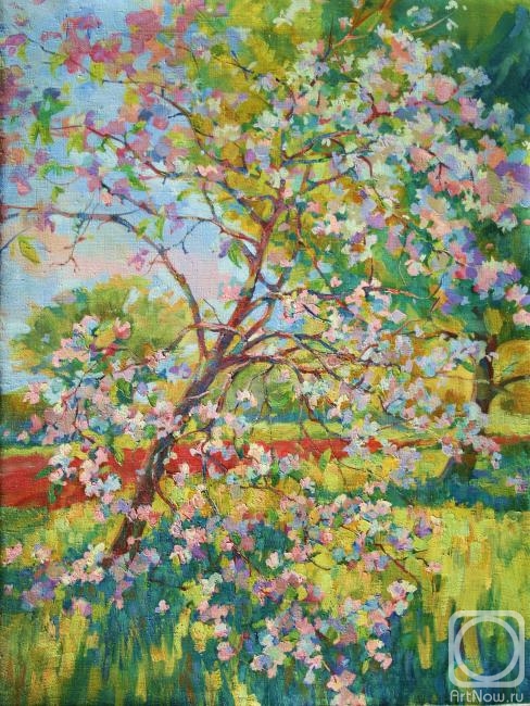 Mirgorod Igor. Apple blossoms