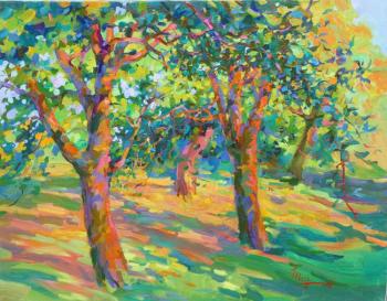 ������� ����. ��������� ����