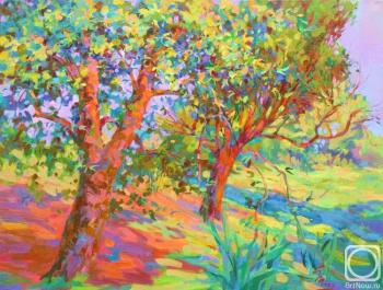 ������� ��������� ���