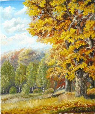 Rabbit Oaks. Autumn (etude)