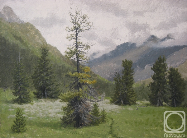 �������. ������� �������. ������ ������