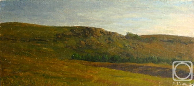 Bravkov Vladimir. Untitled