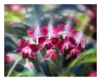 �������-2