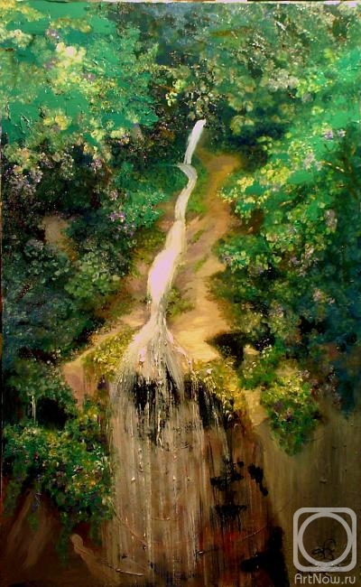Stolyarov Vadim. Waterfall "Men's tears." Abkhazia