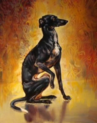 Italian Greyhound. Bastrykin Viktor