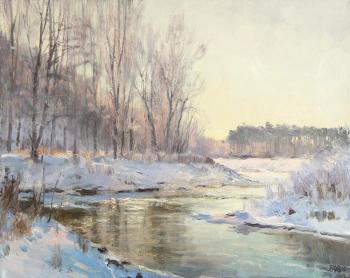 Hoar-frost. Efremov Alexey