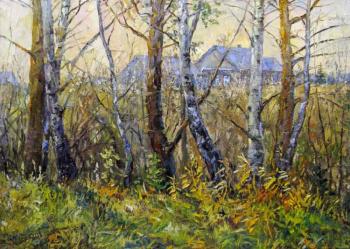 Pine and birch trees. Kolokolov Anton