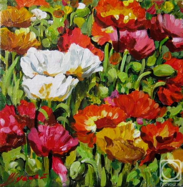 ������� ������ �� ������. ������ �������. ����