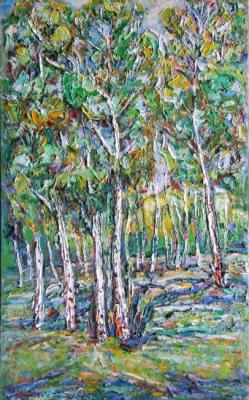 Birch Grove. Bondarevskiy Yevhen
