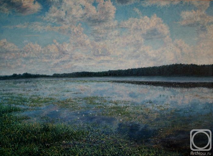 Yakimets Olga. Bryansk expanses. Overflow