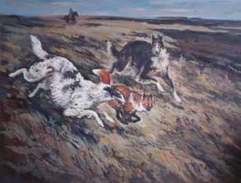 Russian greyhound and a fox. Bastrykin Viktor