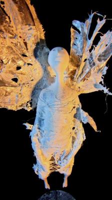 �����. ��������. ������� ����