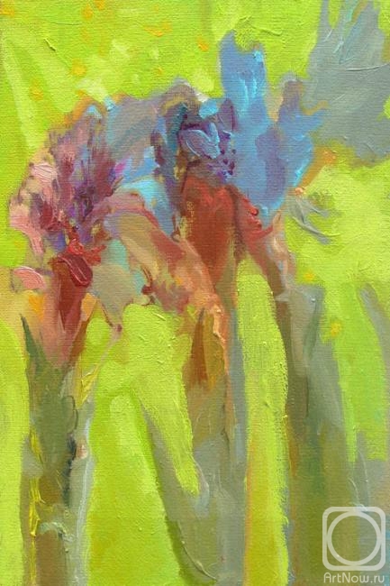 ������� ������ �� ������. ������-������� ������. �����