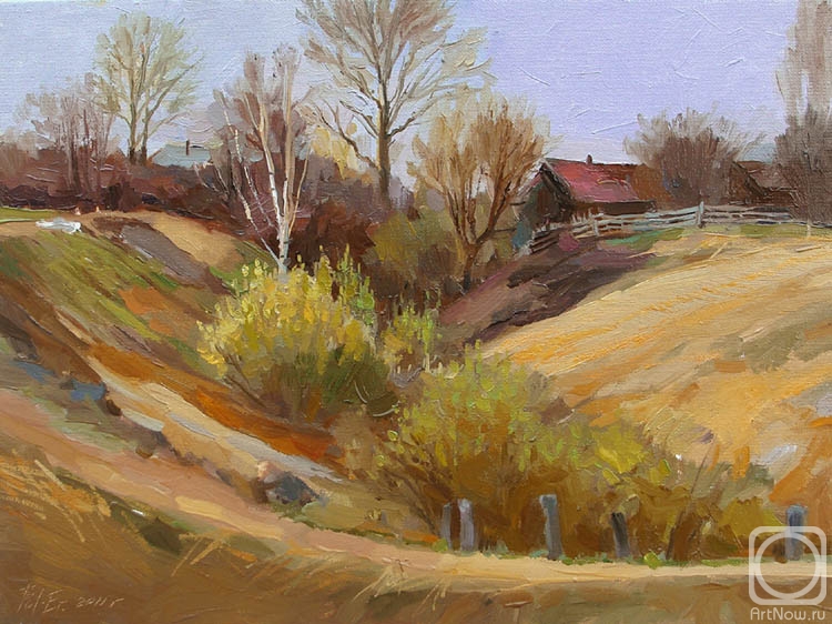 Roshina-Iegorova Oksana. Rural ravine