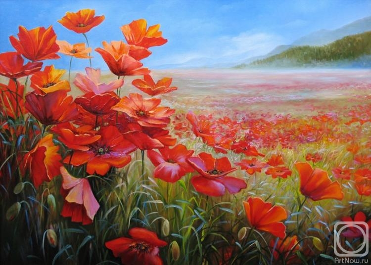 Kalachikhina Galina. Field of Poppies