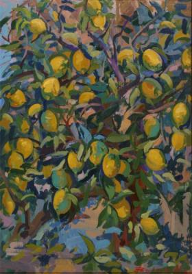 lemon tree. Italy. Valentsov Vladimir
