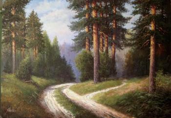 Aroma of the pine forest. Yanulevich Henadzi