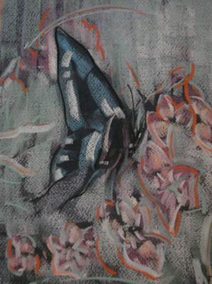 Butterfly and flowers. Dukov Valeri