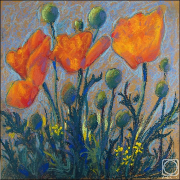 �������. ������ ���������. ����