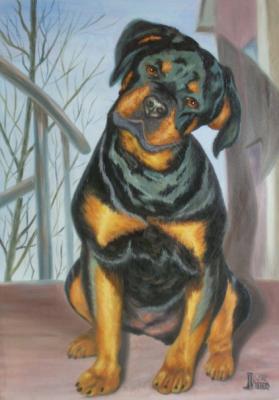 ������� �����