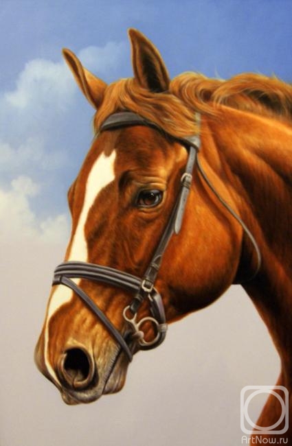 Teverin Sarah. Horse