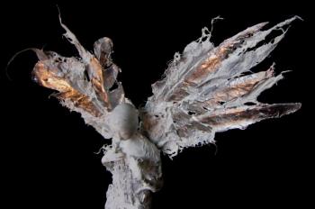 �����. ��������. ������� ����