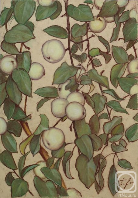 Platov Evgeniy. Apple tree branch
