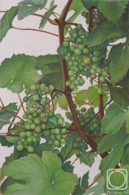 Platov Evgeniy. Green grapes