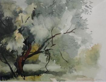 ������� ����