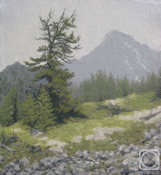 �������. ������� �������. �������� �� ��������